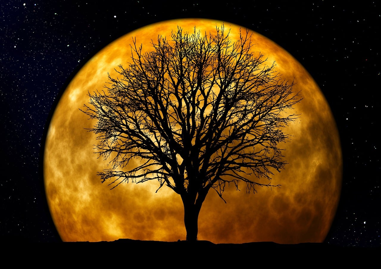 奔驰晚上前面的灯光，不是照亮路，是照亮回家的心